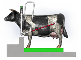 Timider Introducing Magellan: Revolutionising Livestock Feeding with Harmony ...